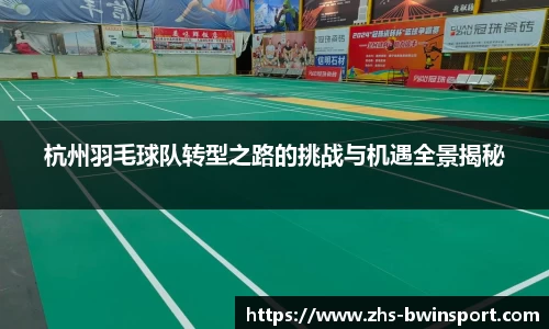 杭州羽毛球队转型之路的挑战与机遇全景揭秘